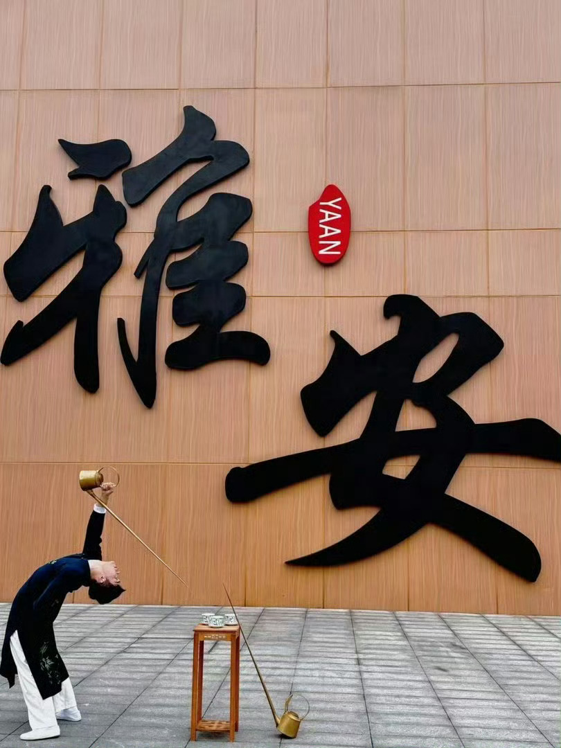 五一来雅安当国宝铲屎主理人 雅安的熊猫也太治愈了！跟着片子去打卡，亲手给滚滚喂竹