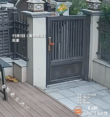 被暖到了！天津，因为家中无人，顾客让快递员把包裹扔到院子里就好，监控拍下小哥“扔