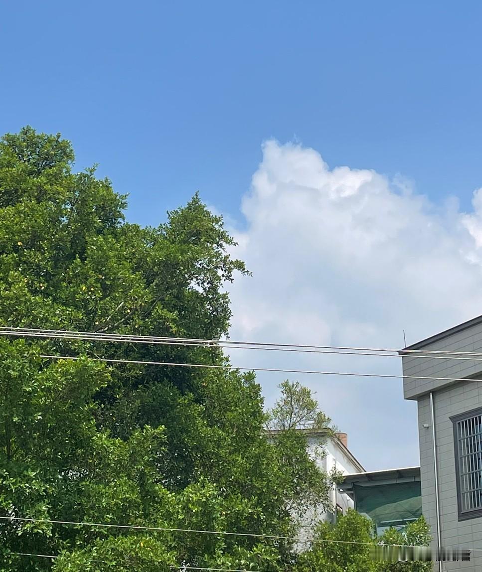 这样的妈妈真是世间少有，太损了。一阿姨，儿子生病了，需要骨髓移植，女儿已经嫁人了