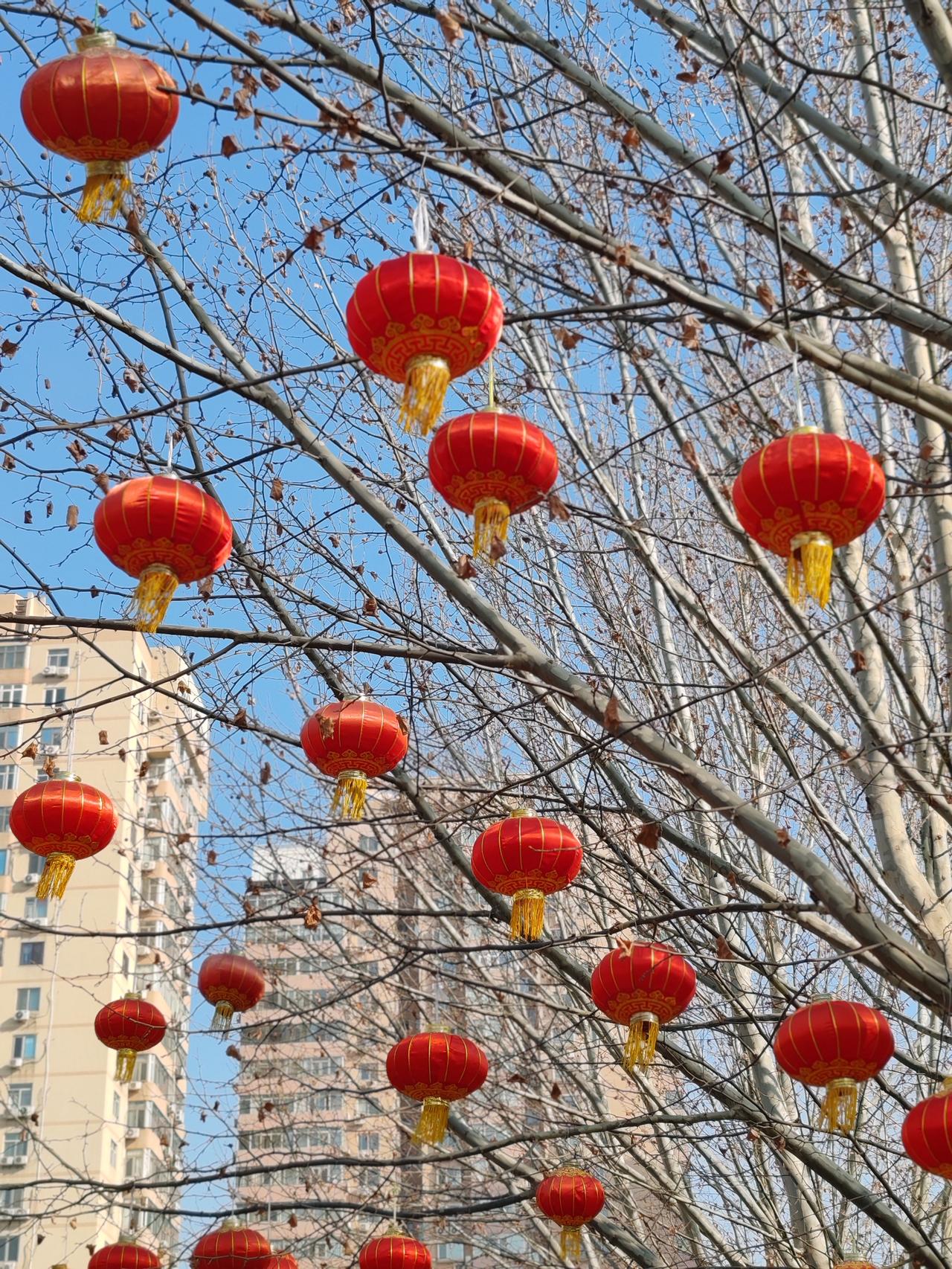 晒图笔记大赛今年的丰台花园灯笼真多，红红火火迎马年气氛真浓。