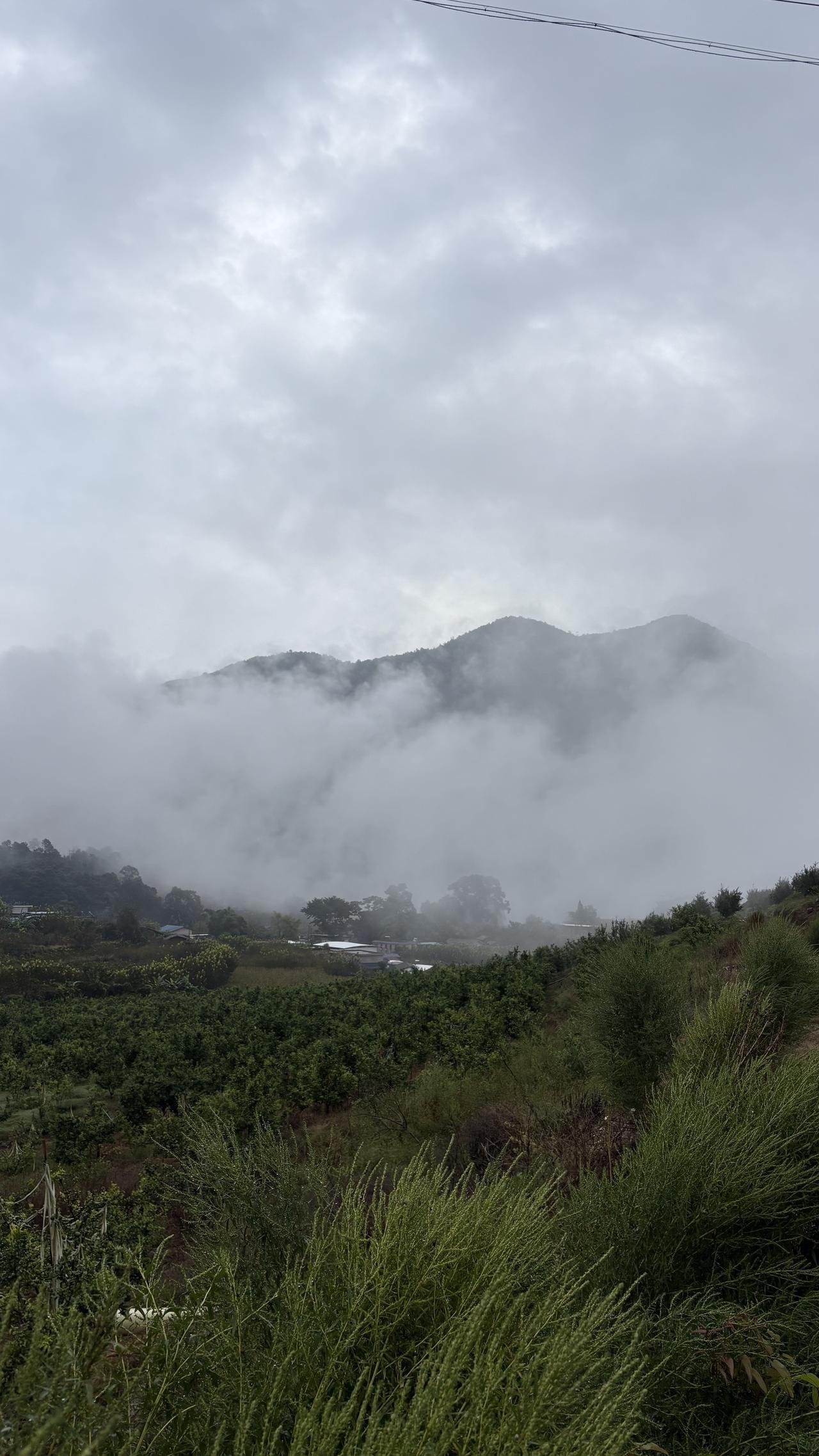 不管是人生活的环境，还是种植水果的环境，其实都需要安静没有污染，这样对于人来说是