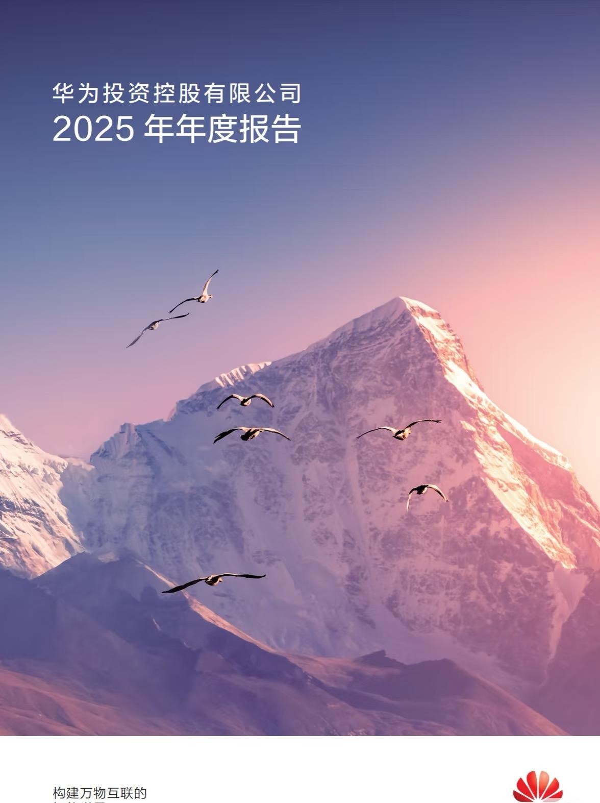 华为2025年营收8809亿，增长2.2%，净利润680亿，涨了8.7%。现金流