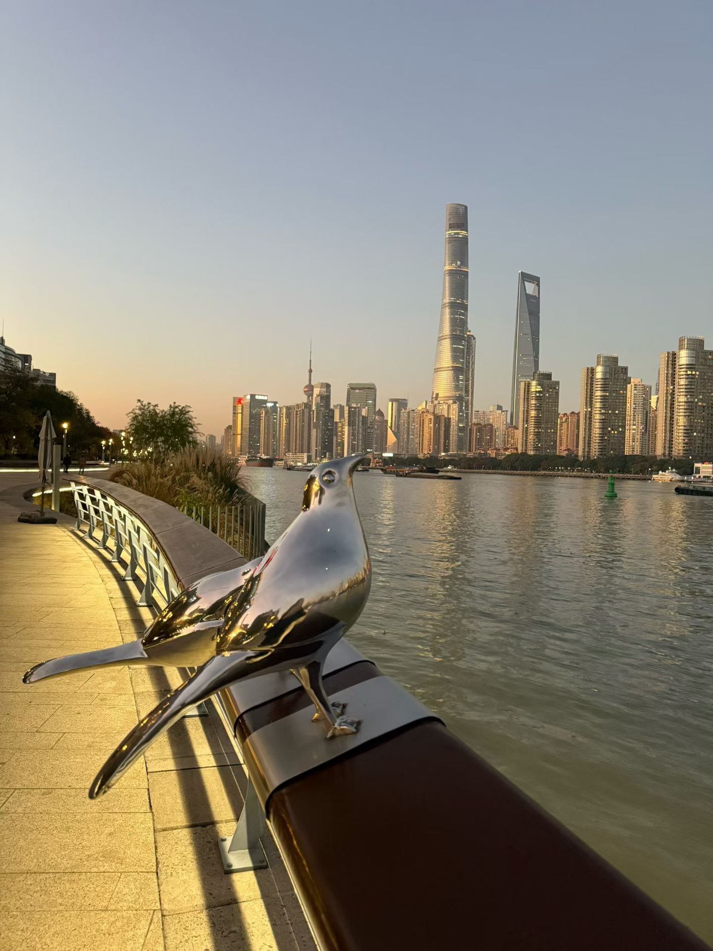 郑云龙  Wow，金丝鸟自由了。自由了zyl? 原来如此啊 