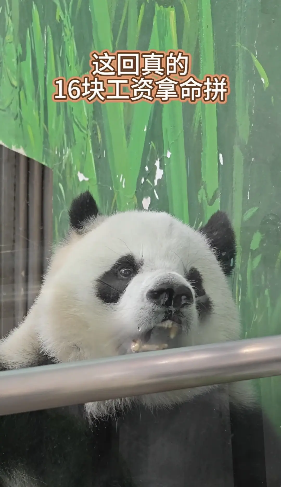 雅一:好多人啊！16🐔搵命搏！（有现场的朋友分享一下广动现场人流有多夸张吗？）