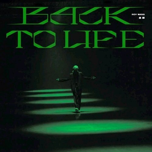 每次听这首自动回到演唱会现场[开摆]王源《Back to Life》 ​​​