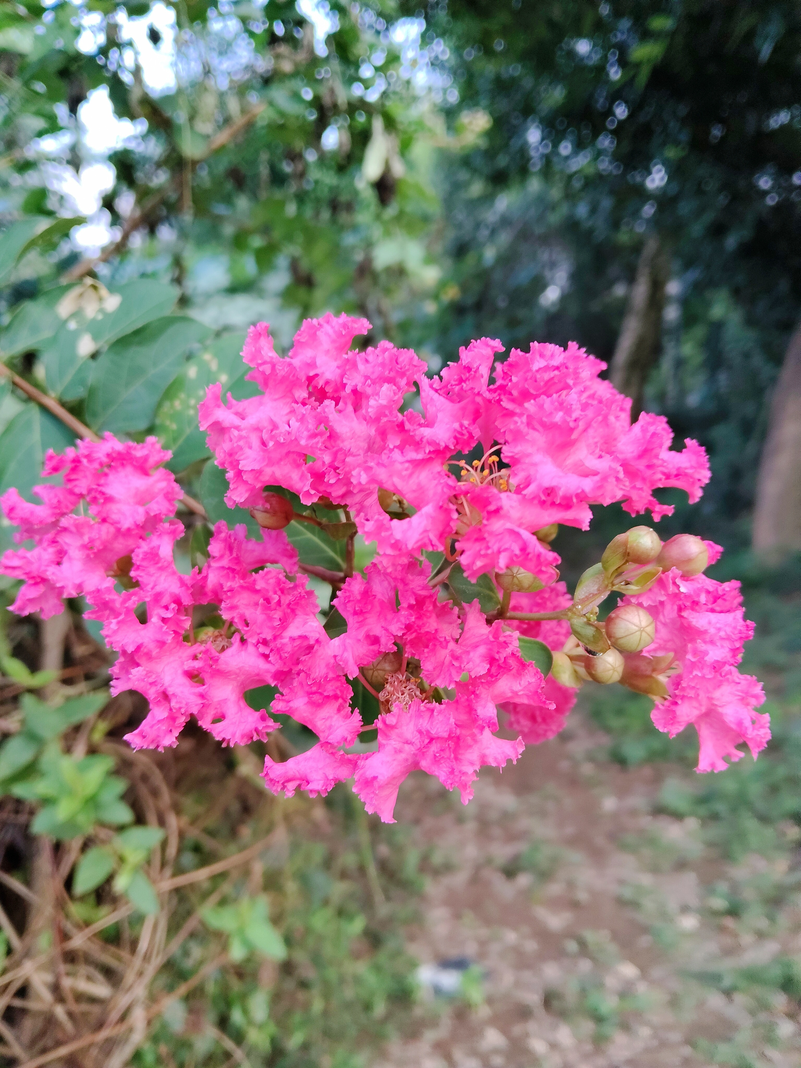 慢品人间烟火，闲观万里晨光周末愉快，早上好呀~生活手记