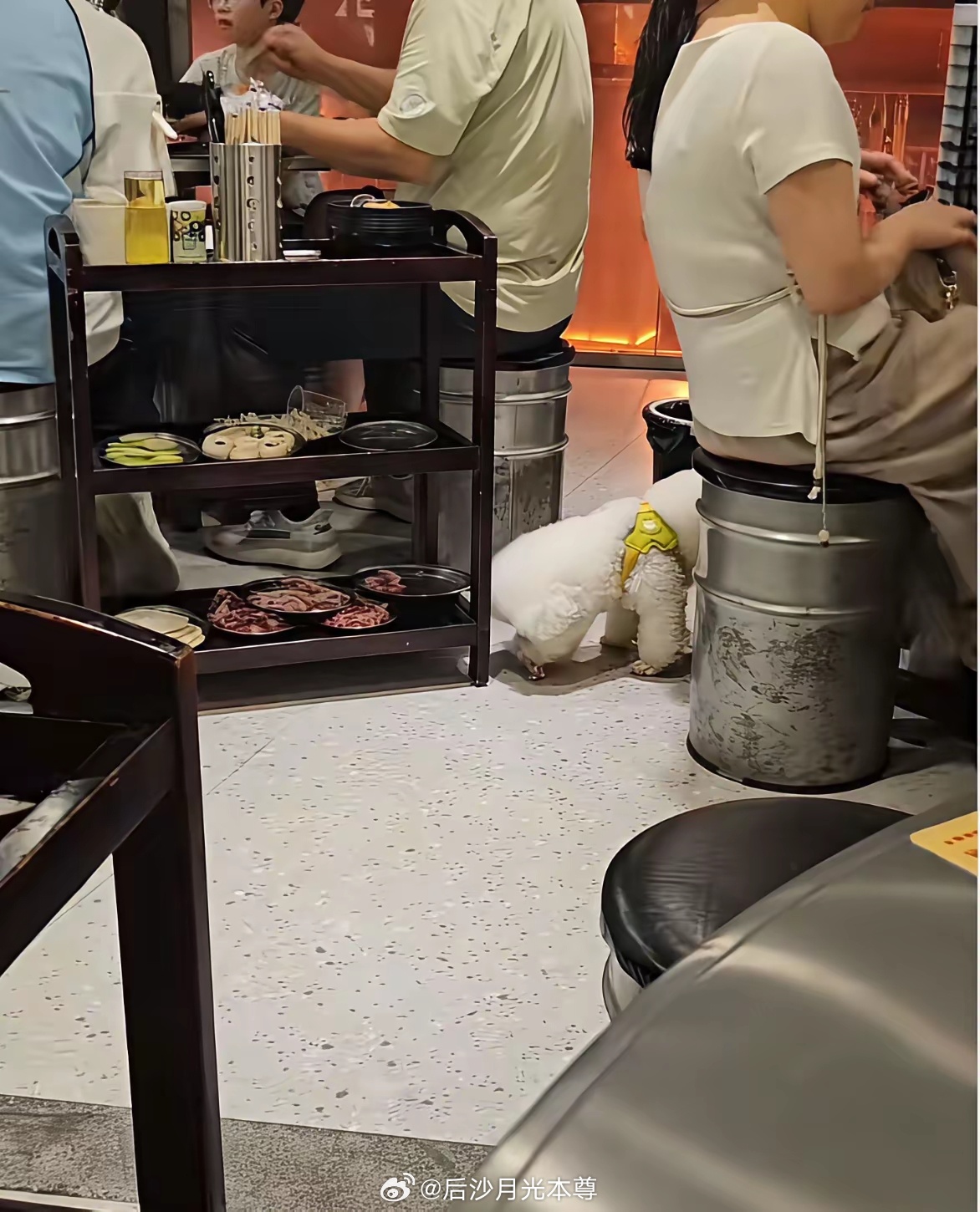 6月6日，湖南衡阳一烤肉店内有宠物狗偷吃顾客餐盘食物。被投诉后，涉事门店又是发布