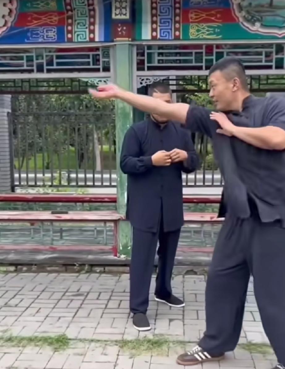 万万没想到，阿曼塔耶夫竟被鸽武缘招安了，拜鸽武缘为师，追随鸽武缘学通背拳，连衣服
