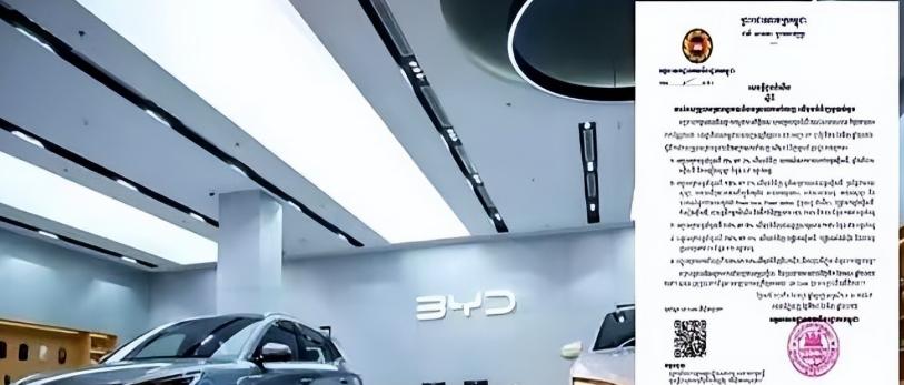 东南亚突然掀牌。柬埔寨从4月1日起，把面向中国的纯电车、充电桩、太阳能整套设备关