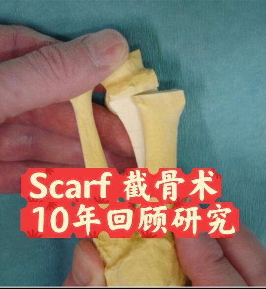 周末文献学习