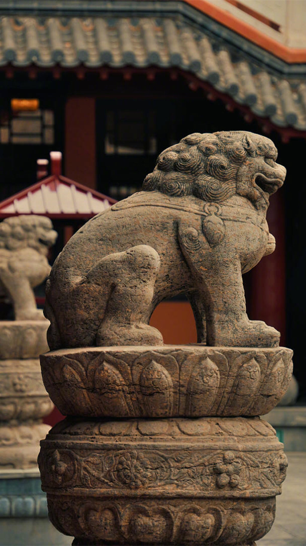 光阴易逝 冷暖自知 在渐冷的岁月里 找一种温暖自己的方式 用内心的淡然，抚平生活