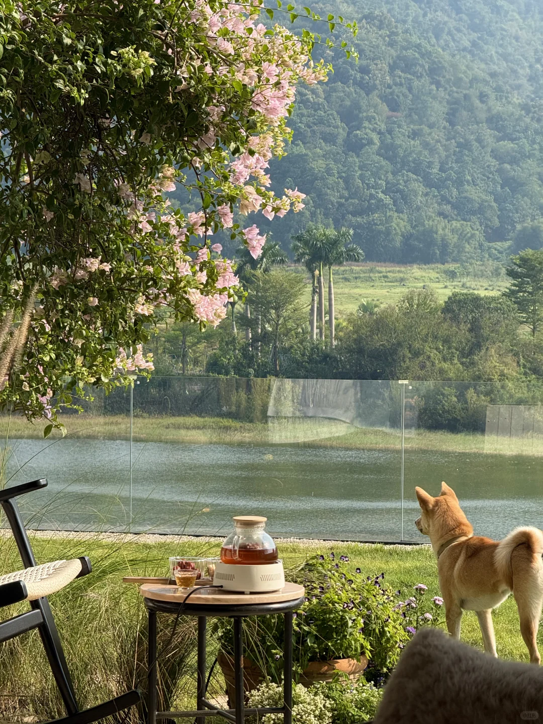 小小梦中情屋，易如反掌👌