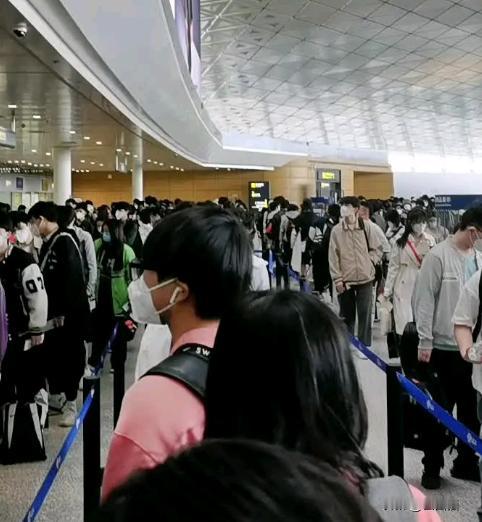 在中国的日本人，
之所以不走，
不是因为走不了，而是压根儿就
没想走，他们早把日