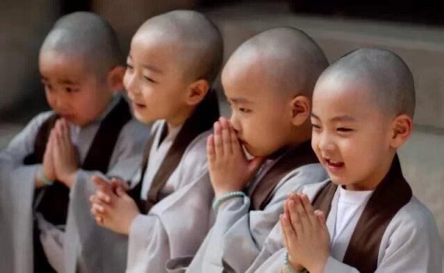 真正的执着，
是‘有所执着，有所不执着’。
执着于内心的热爱和底线，
不执着于无