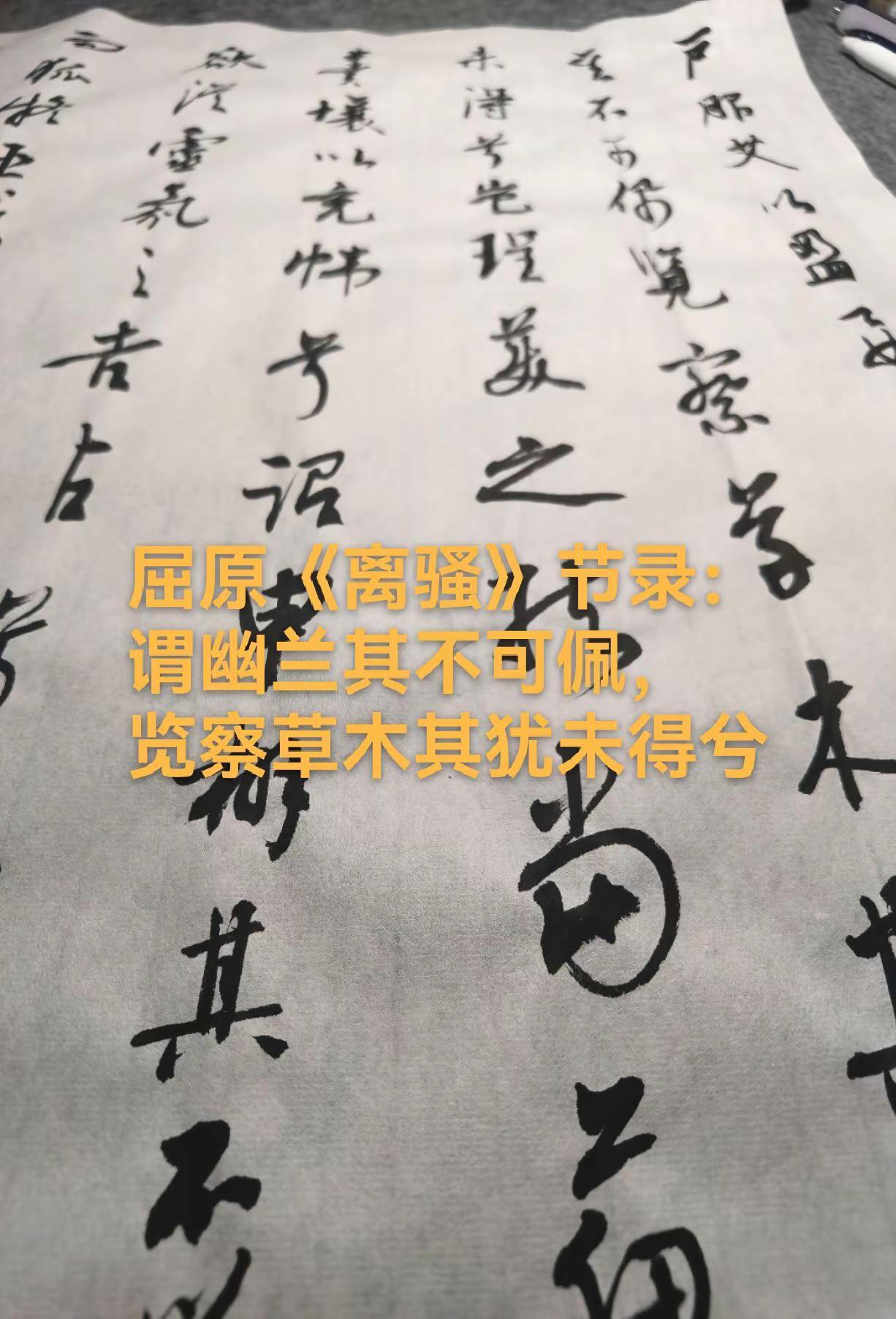 屈原《离骚》节录：谓幽兰其不可佩。屈原《离骚》节录：谓幽兰其不可佩，览察草木其犹