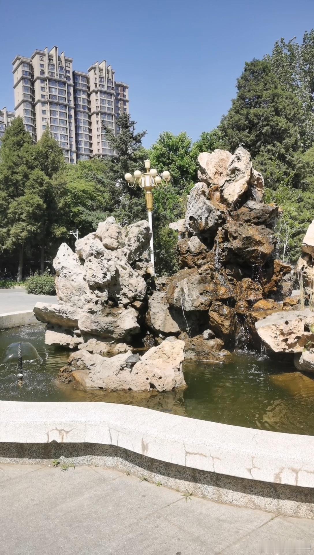 五一假期中，太阳正当空。中传校园里，王八在放松。 