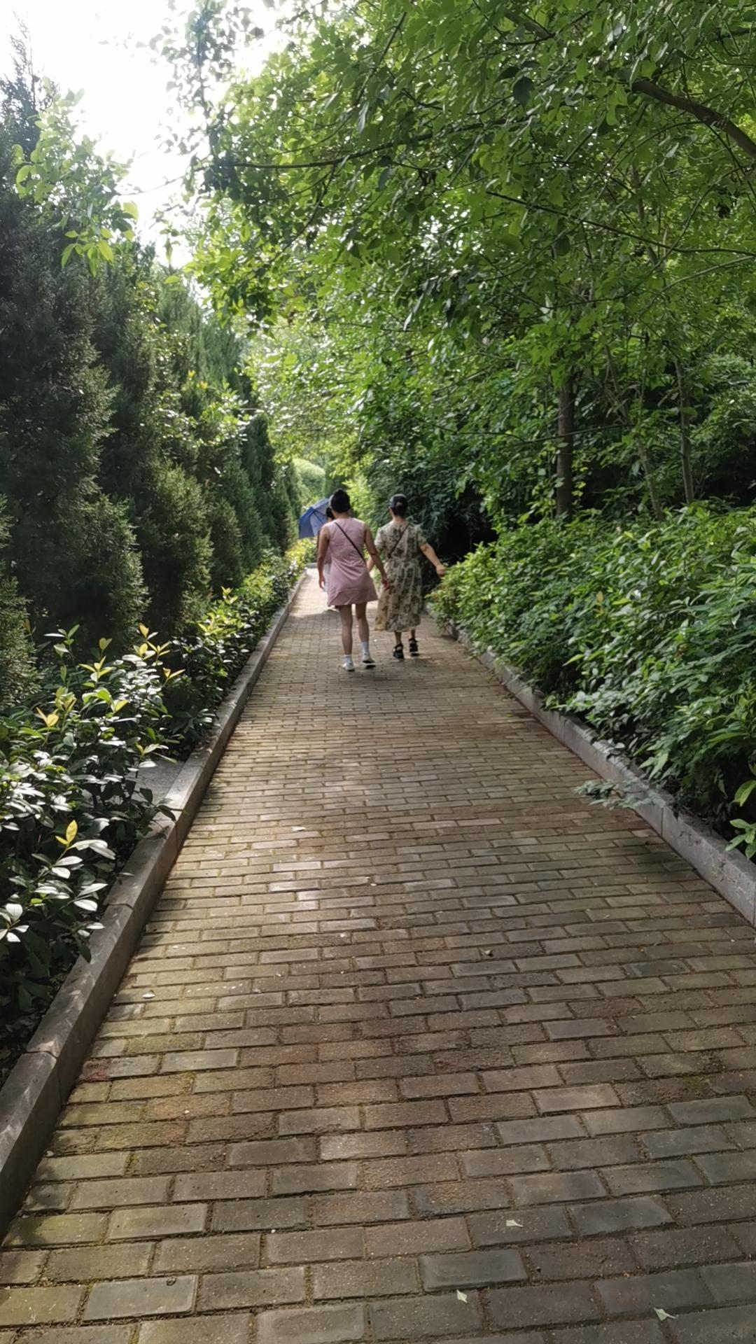 《肉身只吃三餐，灵魂却无处安放》

当你为下一顿饭奔波，为房贷，为学区房焦头烂额