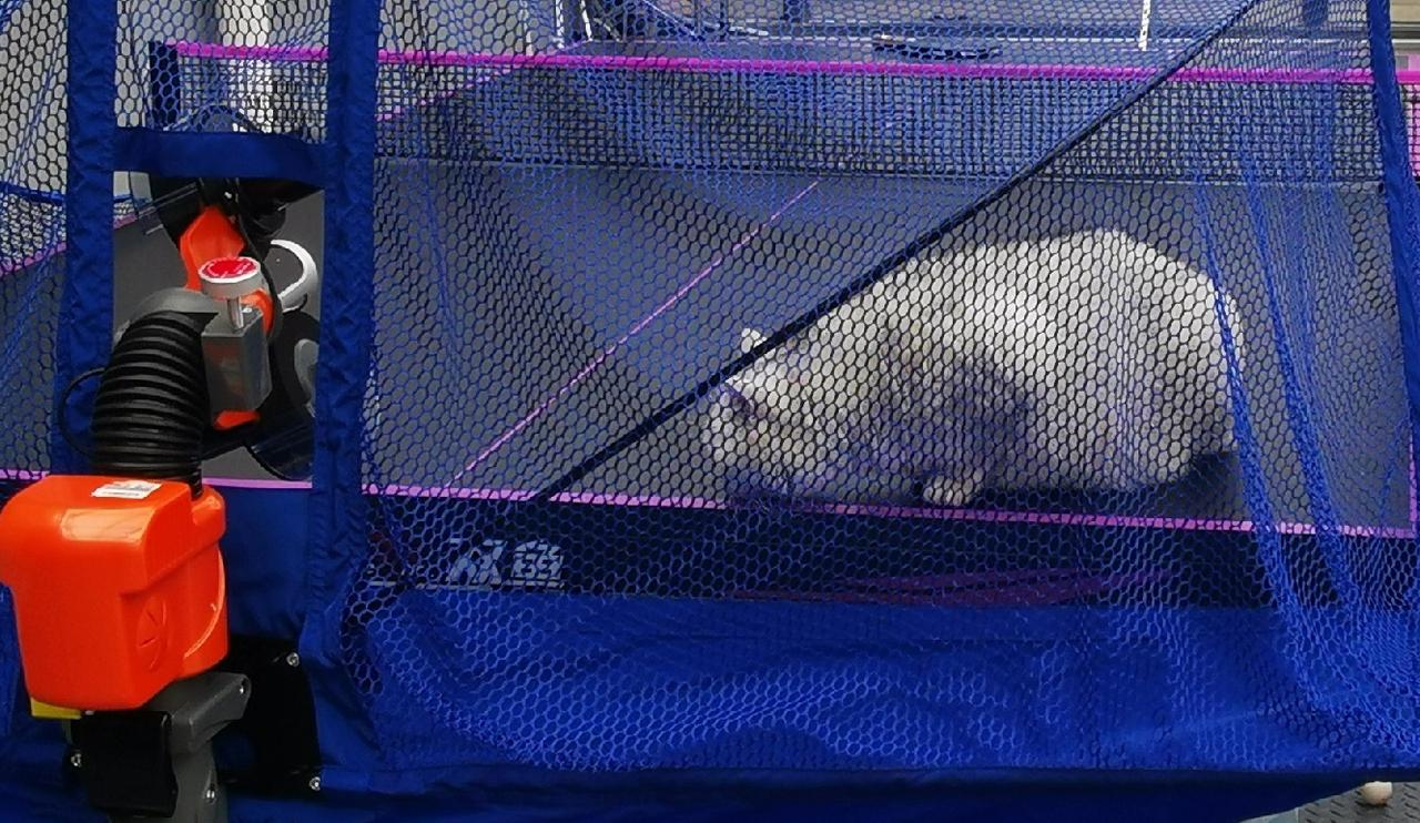 乒乓球比赛中的“退台”也是一项技术，并非是什么缺点，更不是某个人输球的原因。
经