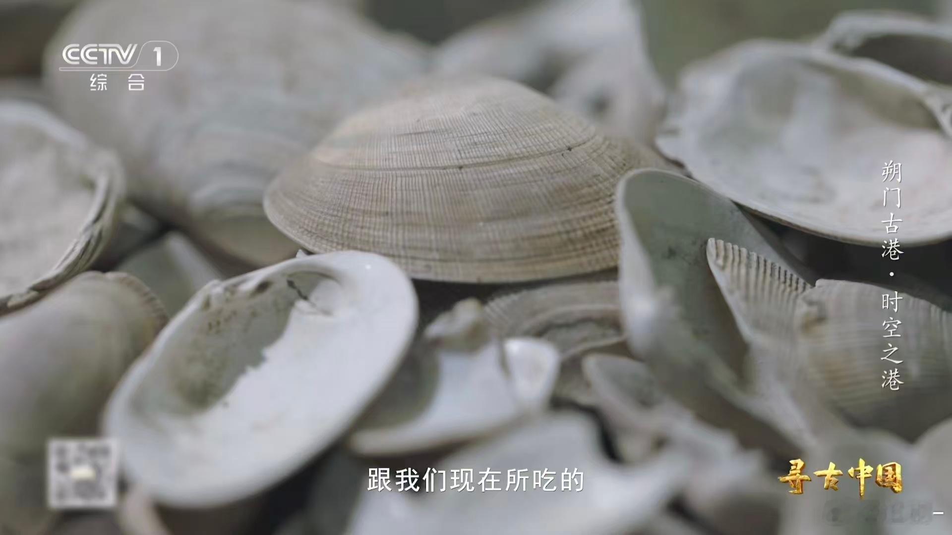 古人也吃血蛤兼具历史与美食价值的发现，血蛤遗存不仅记录古人饮食，也见证温州海洋文