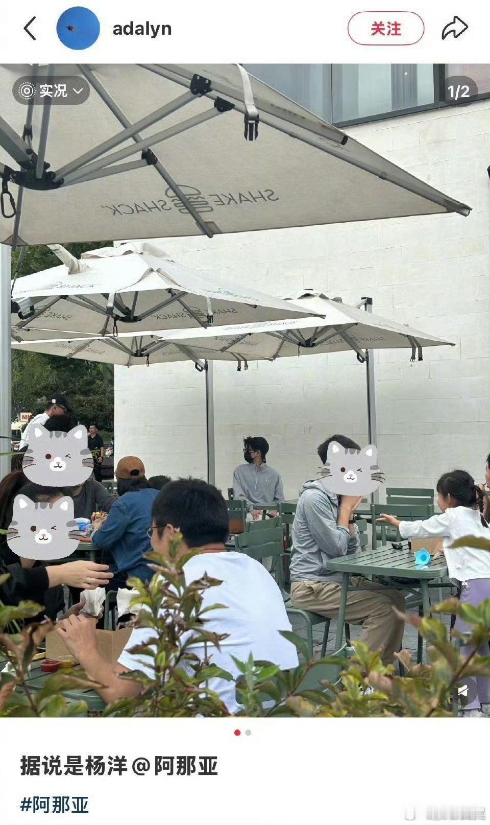 偶遇杨洋阿那亚用餐网友在阿那亚偶遇杨洋偶遇杨洋阿那亚用餐，玩的开心， ​​​