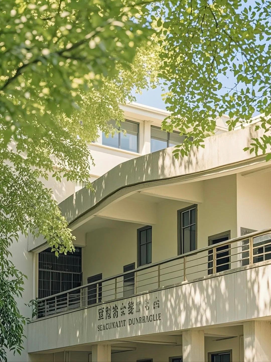 被校园阳光和绿意治愈的瞬间 ​​​