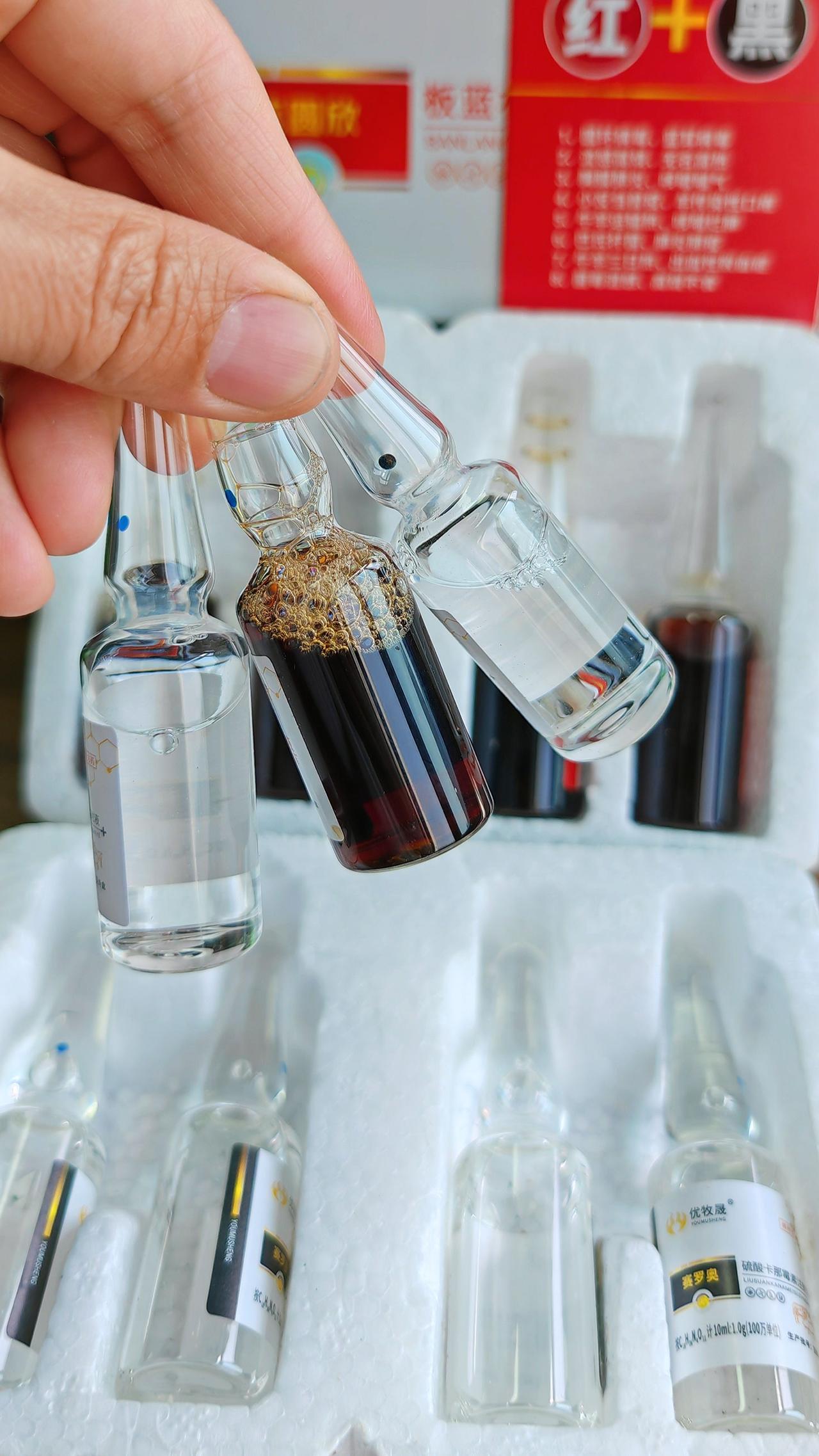 养羊人 农村养羊 牛羊养殖