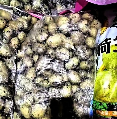 陕西商洛，一司机运输35吨土豆下高速走绿通，谁知收费员在检查完后，认定这些是土豆