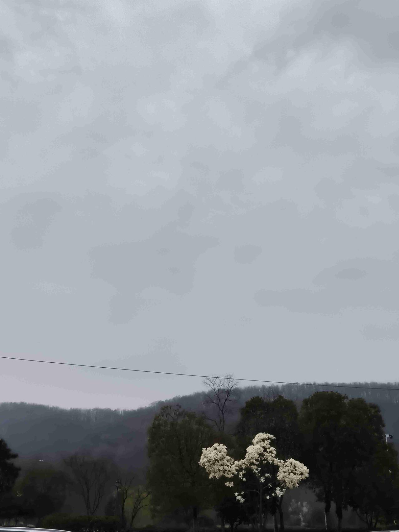 我的今日状态：😁轻松愉快
我这里的天气：☀️晴天