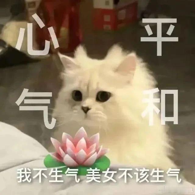 华为阔直板首销成绩很好首销直接爆单🔥线下门店排起长队，阔直板凭全新阔屏形态圈粉