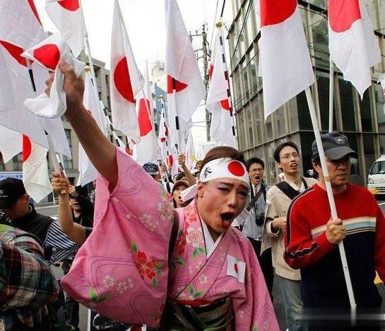 截至2023年，日本卫生福利部的统计告显示，日本已经购买了超过1.1百万平方公里