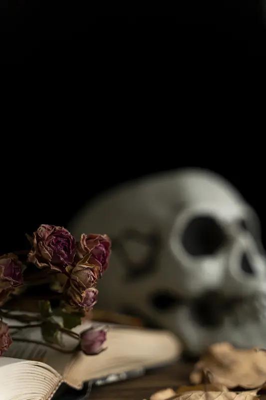 想到自己终有一死，我偶尔也会害怕。在咱们传统文化里，大家对“死”讳莫如深，这让我