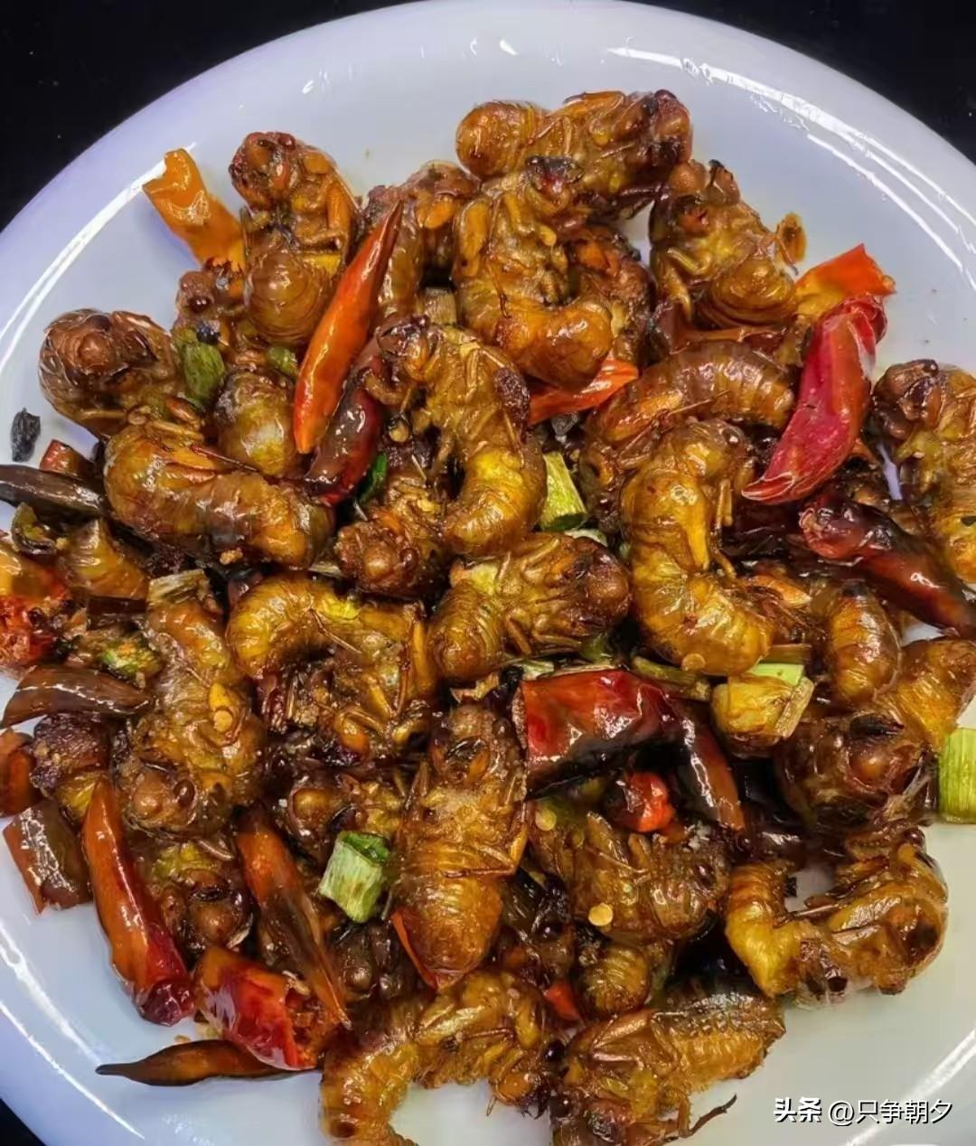 土里苦修三整年，油锅渡劫一瞬间，高蛋白硬菜，不敢动筷只能看着眼馋😜