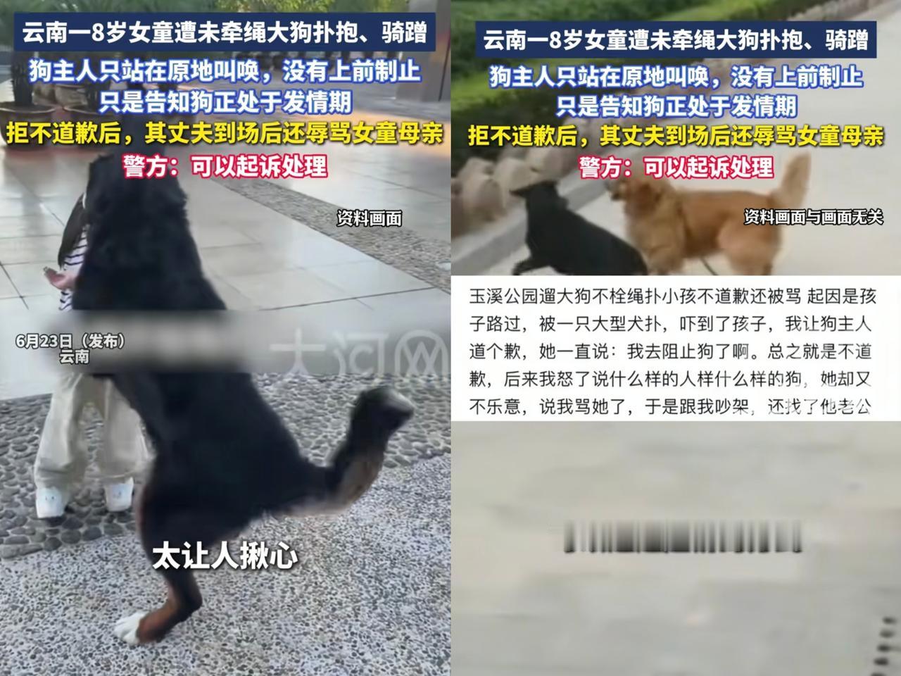 8岁女孩遭未牵绳大狗扑抱、骑蹭，狗主人不仅没有制止，反而谴责女孩家长没事找事，不