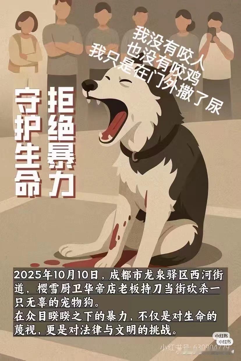 到底谁撒谎？
厨卫店养鸡？
狗咬了鸡
店主赶狗
狗咬店主
店主砍狗
狗不治而亡