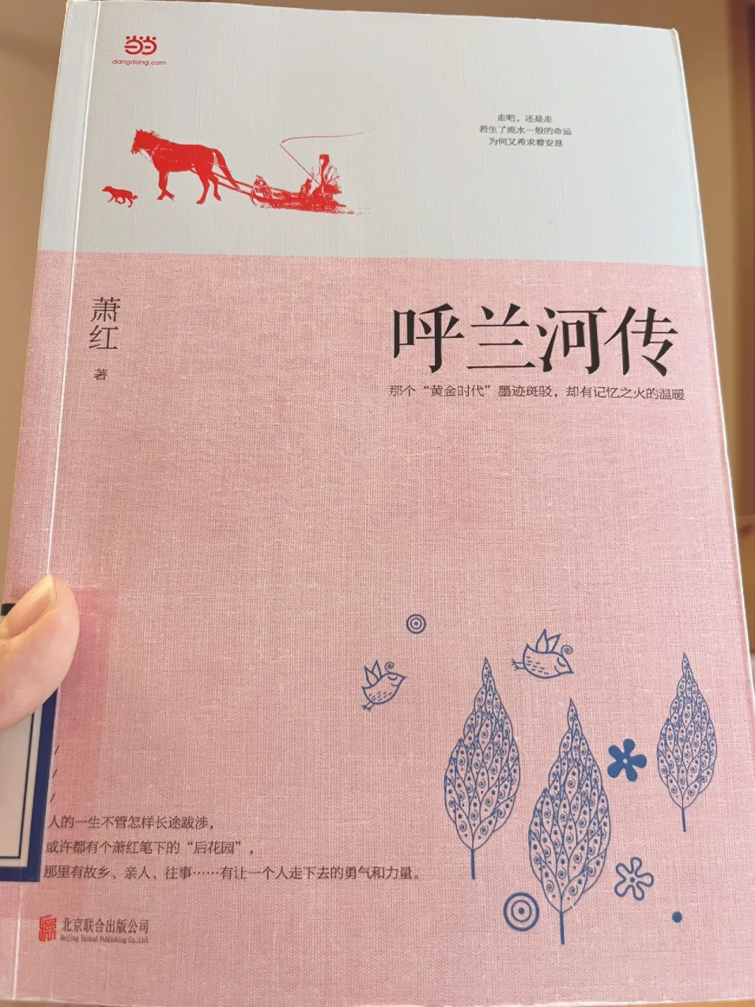 读书笔记～萧红《呼兰河传》