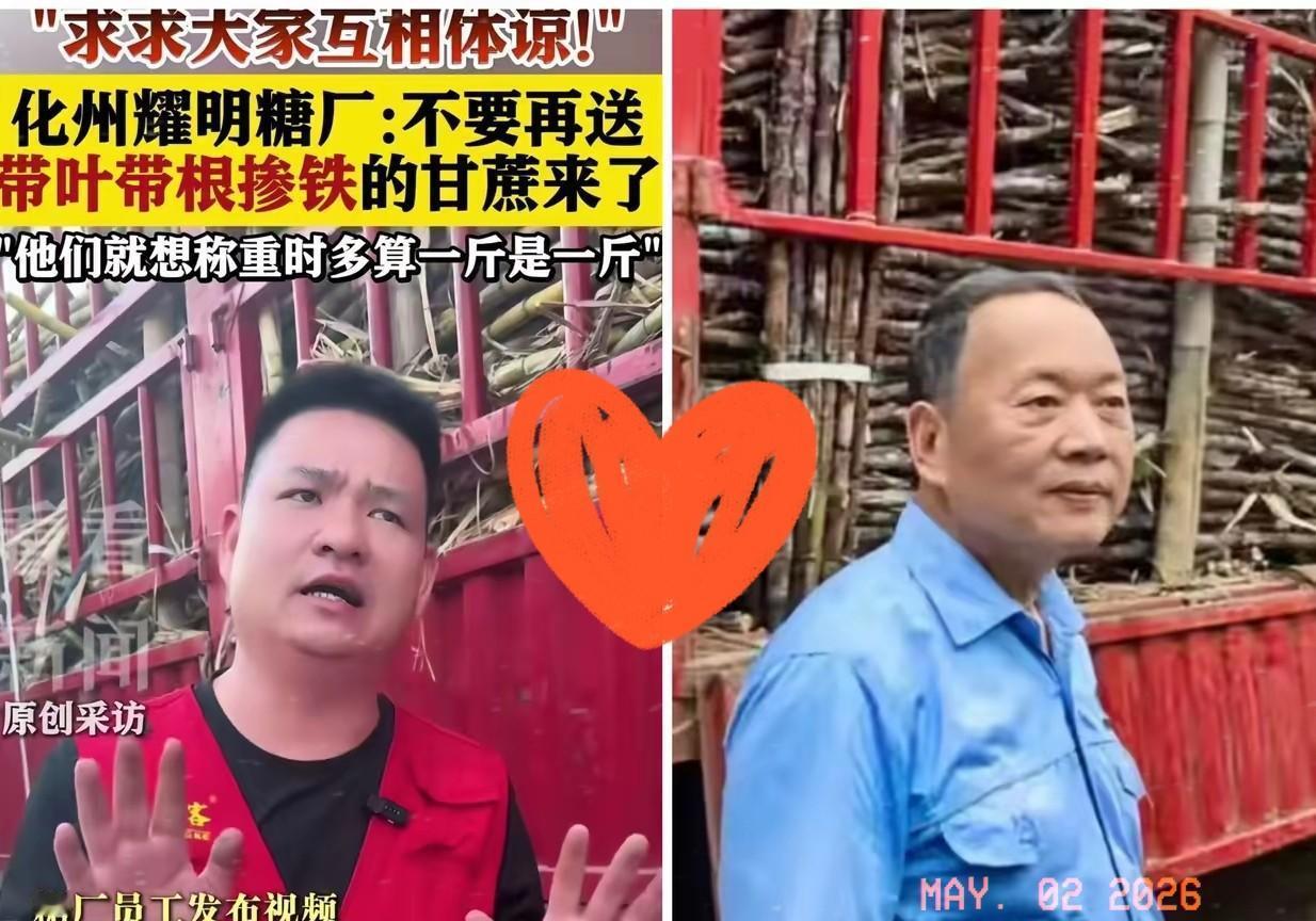 3月还亏本求救，5月就往榨机里塞钢管、掺泥土？陈耀供着千人吃喝、加钱收蔗，换来的