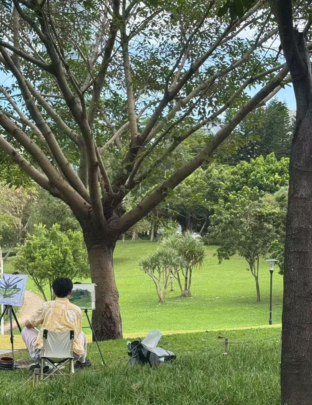 成都公园画画，超惬意～
在公园浪费时间 在公园汲取能量