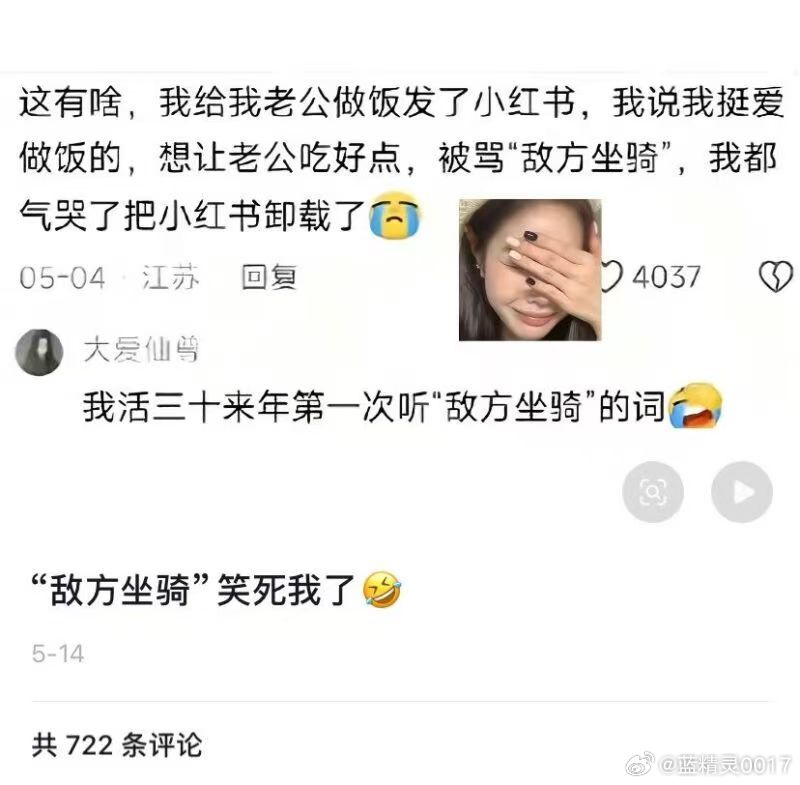 女拳变态已经到了匪夷所思的地步。把做饭的女同胞称为:敌方坐骑。这真的是搞男女对立