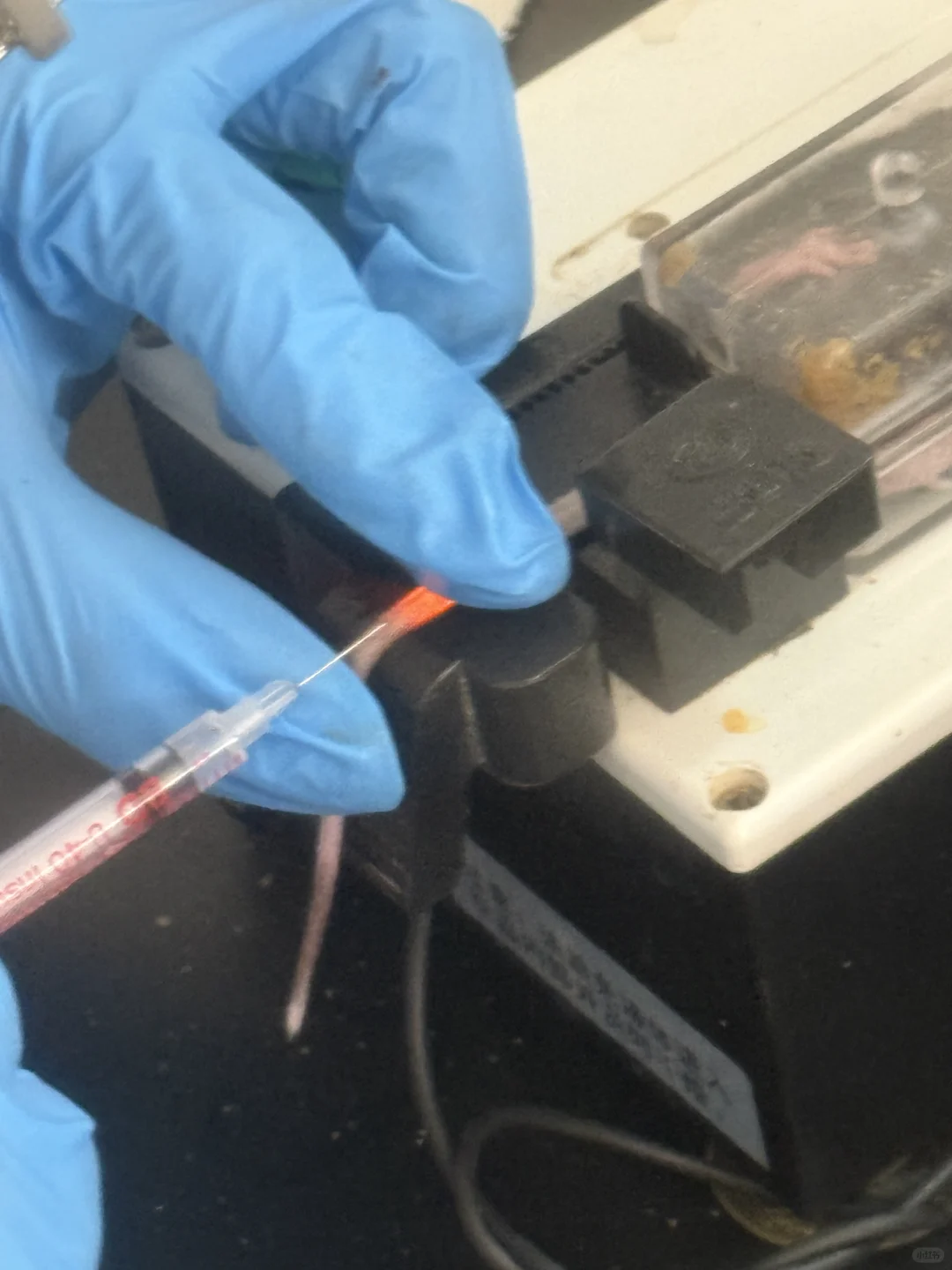 尾静脉怎么这么难打