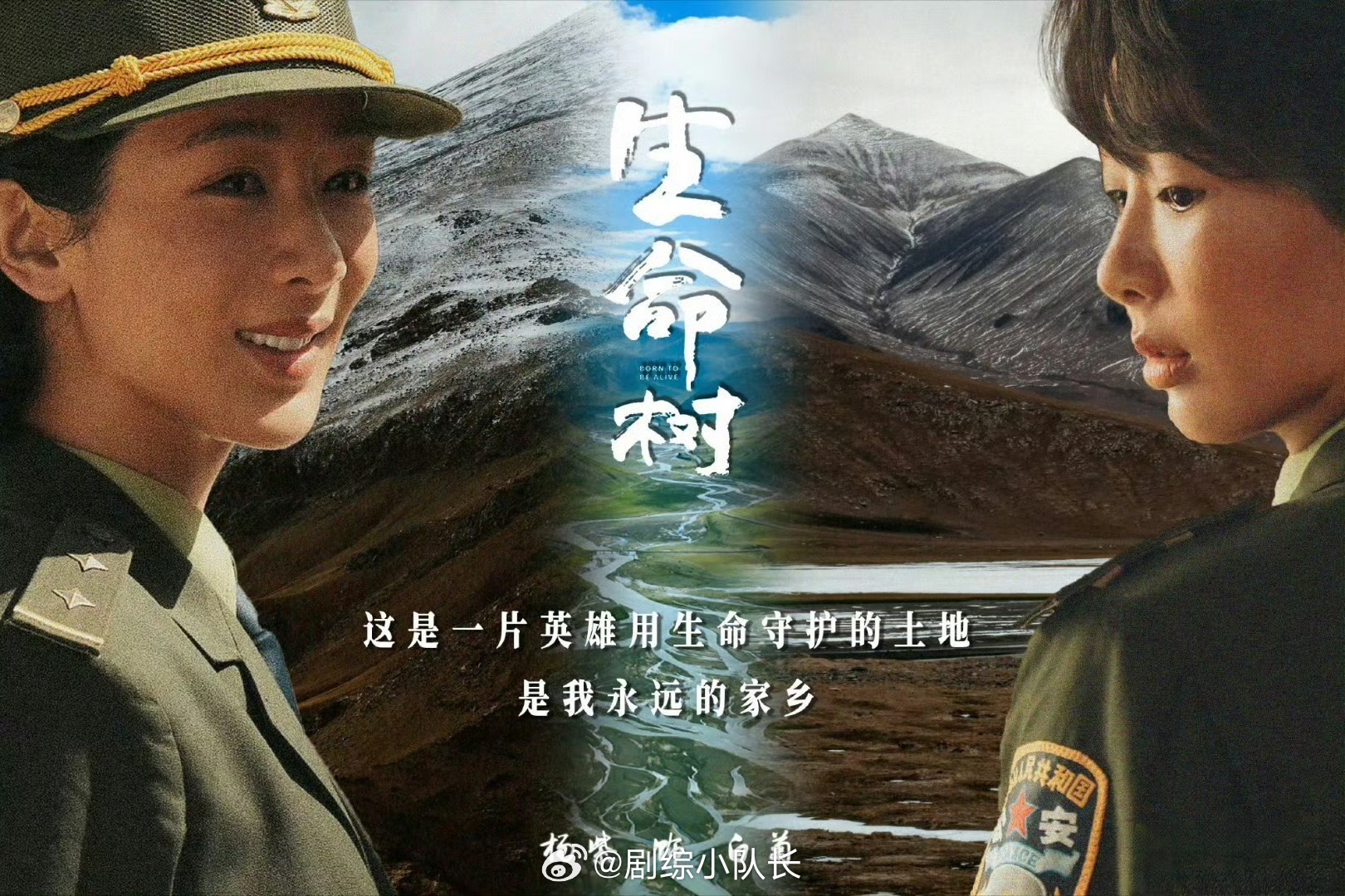 今年金鹰奖角逐里，杨紫在《生命树》塑造的白菊极具感染力，剧集口碑过硬，角色完全具