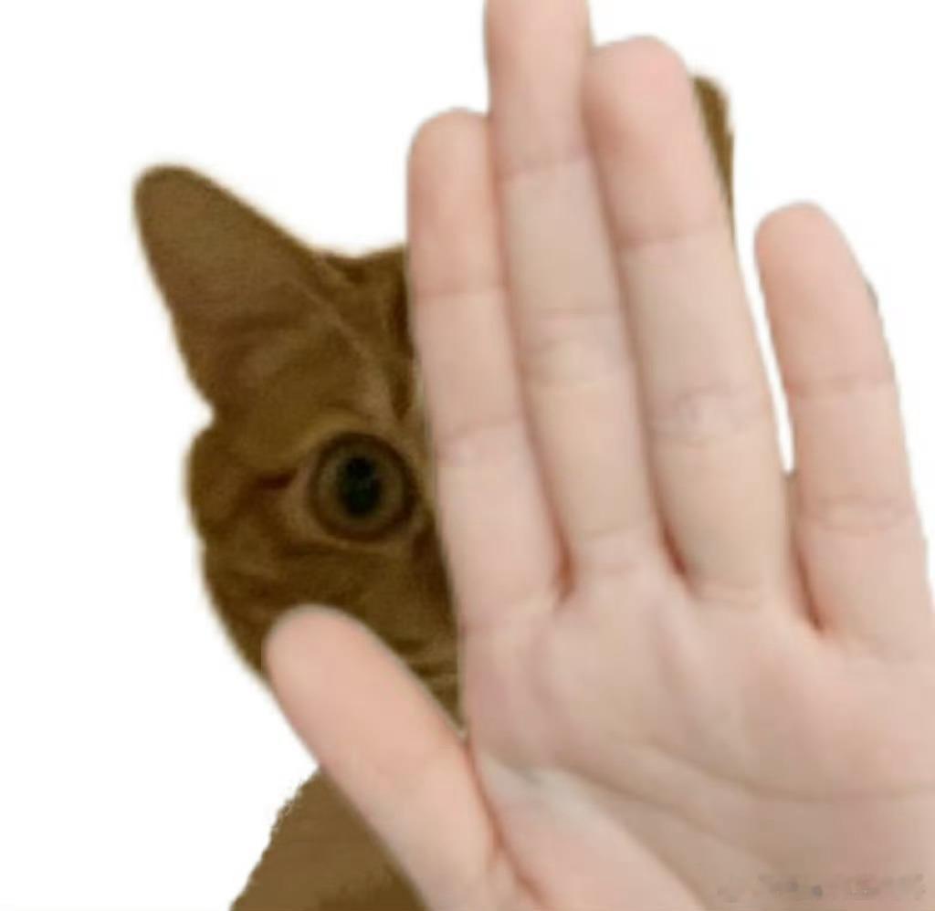 第五人格[超话] 有没有什么适合双排的求生搭配 