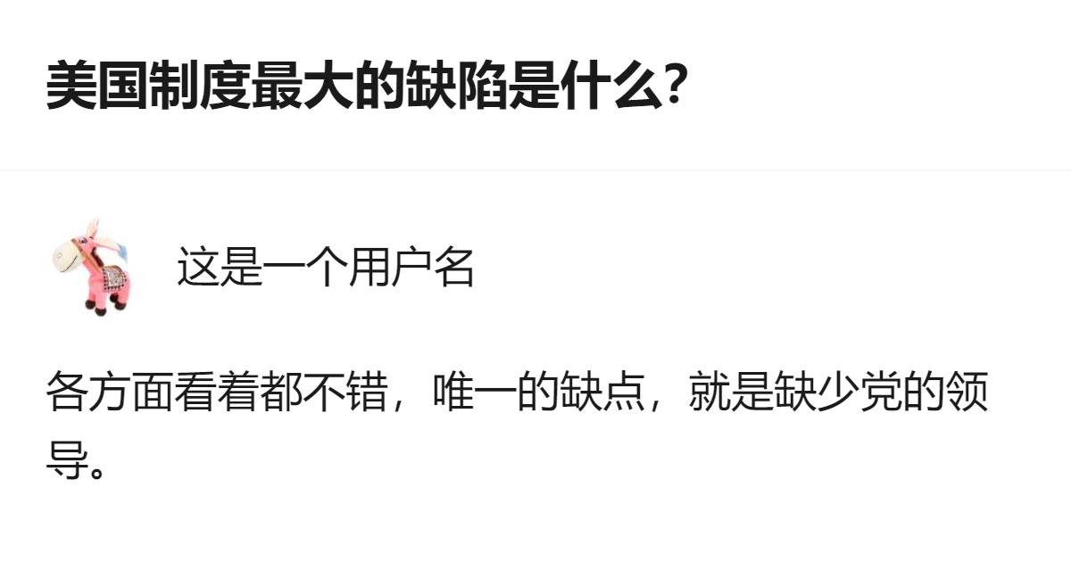 从现有信息看，针对美国制度最大缺陷的这个回答，明确指出其核心缺陷是缺少党的领导。