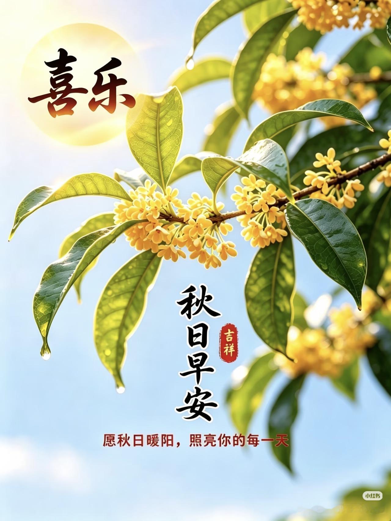 早上好，今天是10月14日星期三。
女排三大球今日开打，天津U19女排今天下午1
