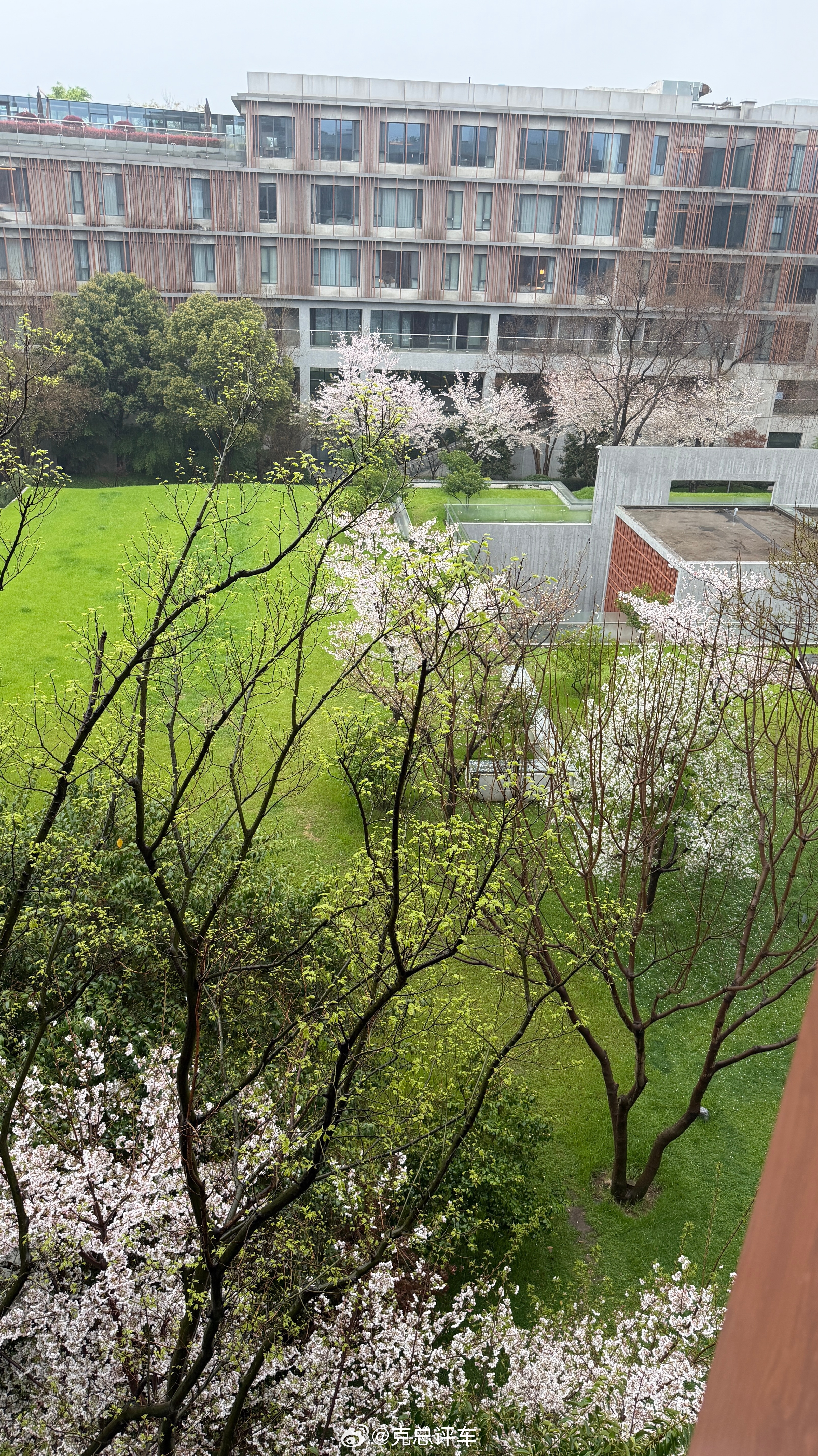 一张图证明我来过这里有点满园春色关不住的感觉… 南京