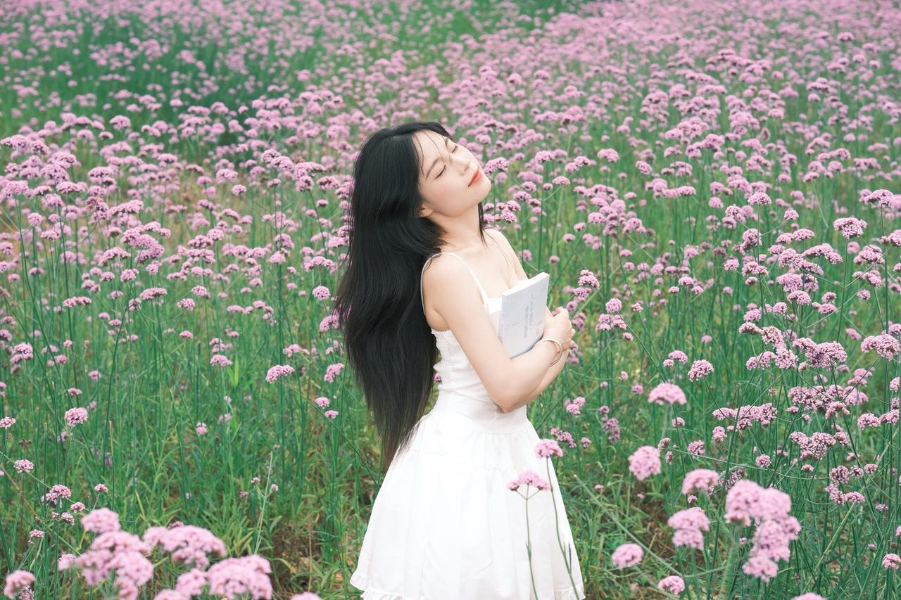 马鞭草花海 深圳约拍 小清新