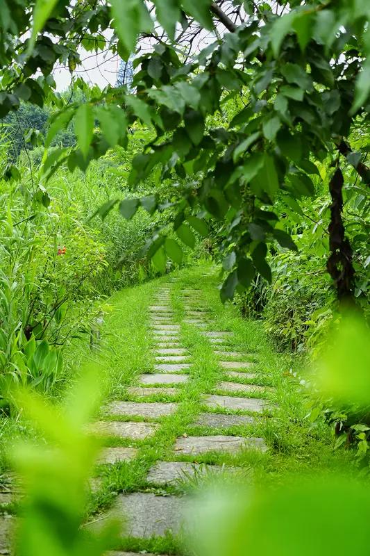 看到“小路清风过”这个上联，瞬间来了兴致。对联讲究对仗工整、意境相符，我试着对个