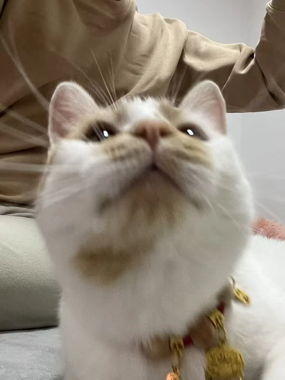 你睁开眼睛看看咪，咪不信你两眼空空