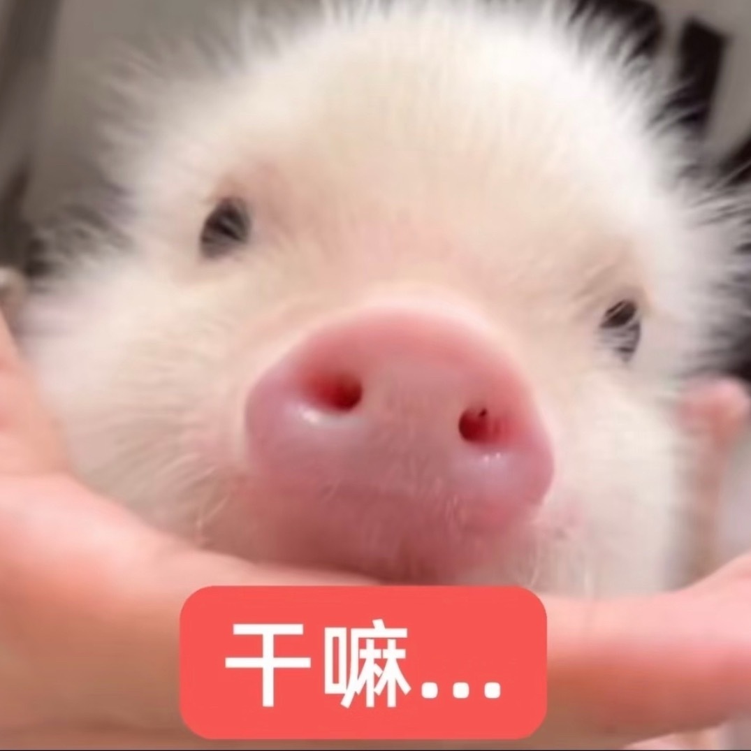 《清融是真的傻子我不是任何夸张纯傻之人》 ​​​