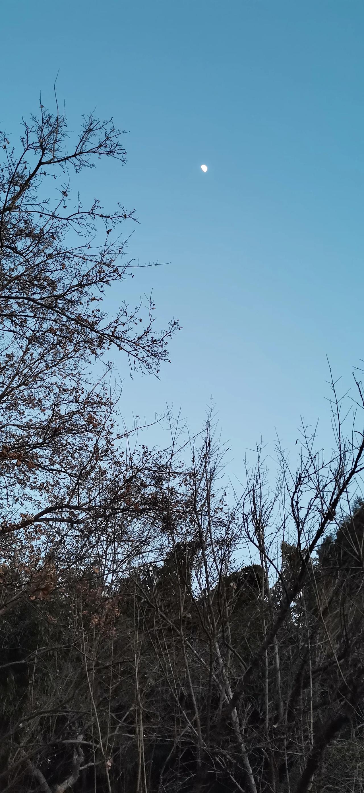 随手拍美丽景色。