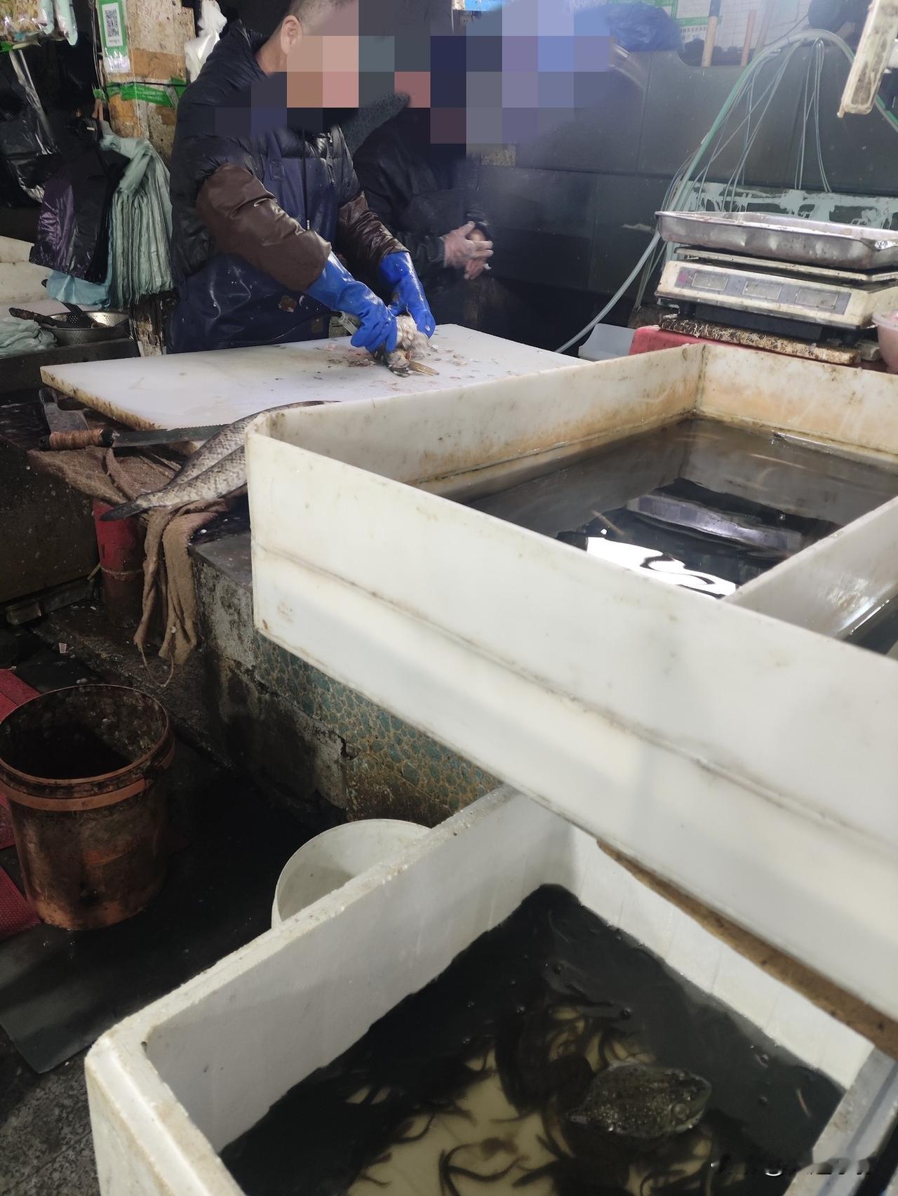 清明节“顺路”采购记：大连西南路市场的烟火与实惠

4月5日清明，祭祀归来未直接